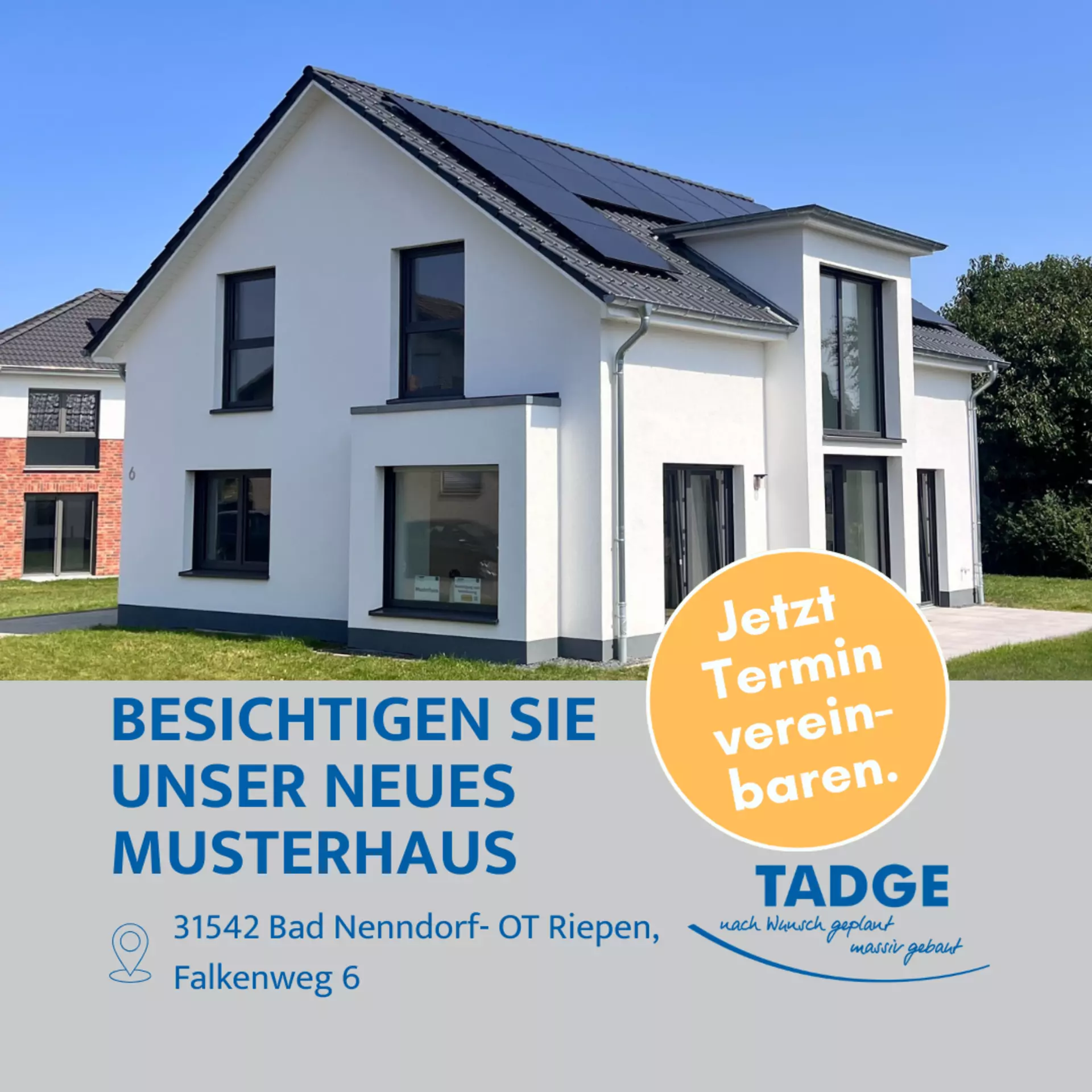 Artikel-Bild