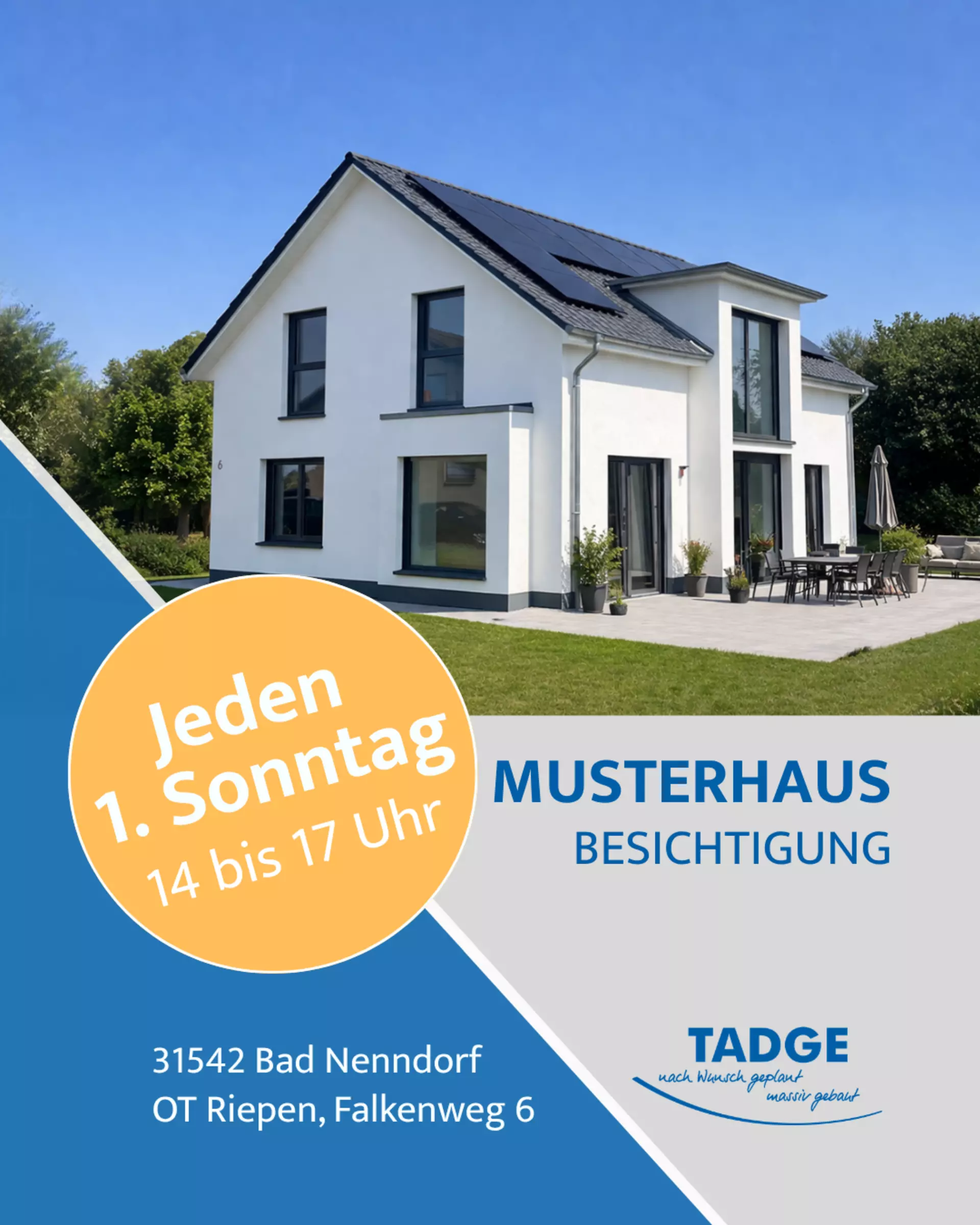 Artikel-Bild